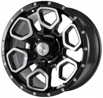 Диски race-ready-cssd2827